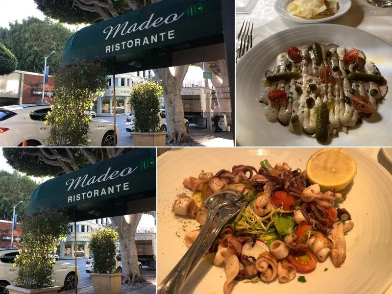 Madeo Restaurant business photo