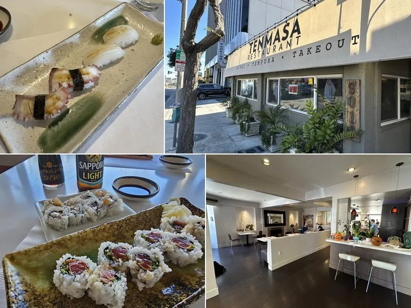 Tenmasa Japanese Restaurant business photo